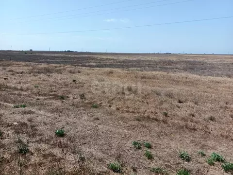 Участок в Крым, Сакский район, с. Уютное  (127.34 сот.)