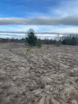 Участок в Тверская область, Калининский муниципальный округ, д. ...