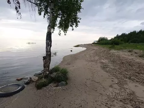 Участок в Ярославская область, Рыбинский муниципальный округ, ...