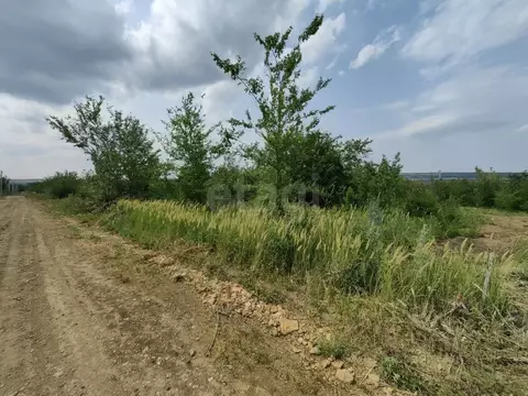 Участок в Ростовская область, Родионово-Несветайский район, ...