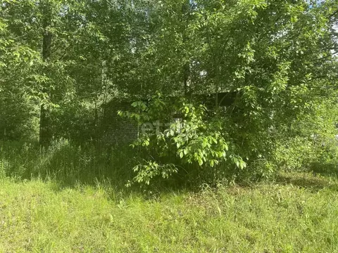 Дом в Брянская область, Брянский район, Нетьинское с/пос, Лесная ...