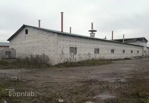 Производственное помещение в Алтайский край, Тальменский район, ...