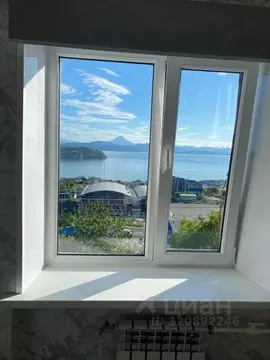 1-к кв. Камчатский край, Петропавловск-Камчатский ул. Павлова, 3 (34.0 ...