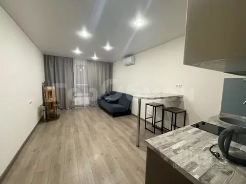 Студия Московская область, Ленинский городской округ, Лопатино пгт ул. ...