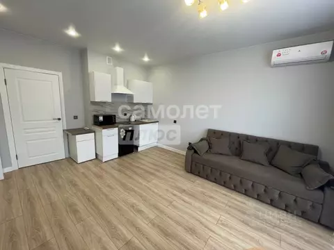 Студия Краснодарский край, Краснодар ул. Ивана Беличенко, 90 (26.0 м)