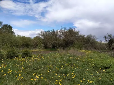 Участок в Владимирская область, Суздальский район, с. Новоалександрово ...