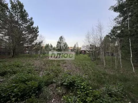 Участок в Свердловская область, Сысертский муниципальный округ, ...