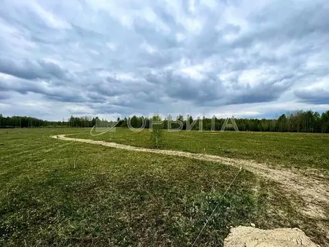 Участок в Тюменская область, Нижнетавдинский муниципальный округ, ...