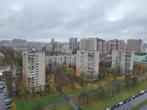 Студия Санкт-Петербург ул. Орджоникидзе, 52 (29.1 м)