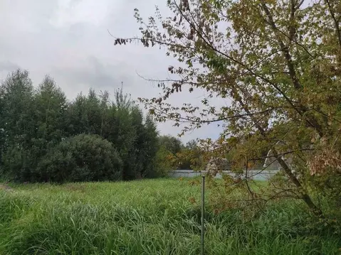Участок в Воронежская область, с. Новая Усмань ул. Набережная (12.0 ...