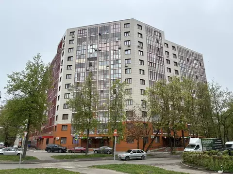 Студия Московская область, Ивантеевка Пушкинский городской округ, ...