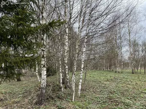 Участок в Московская область, городской округ Солнечногорск, деревня ...