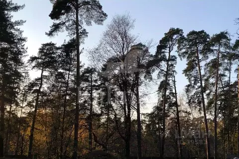 Участок в Москва Михайлово-Ярцевское поселение, д. Пудово-Сипягино,  ...