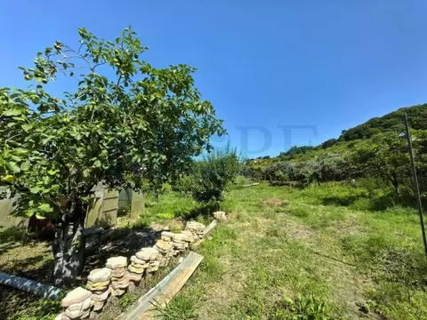 Участок в Краснодарский край, Сочи пос. Вардане, пер. Минеральный, 9 ...