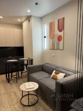 Студия Москва проезд Серебрякова, 11к2 (30.0 м)