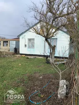 Дом в Крым, Сакский район, Веселовское с/пос, с. Наташино ул. Полевая, ...