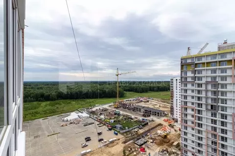 Студия Тюменская область, Тюменский муниципальный округ, д. Патрушева ...