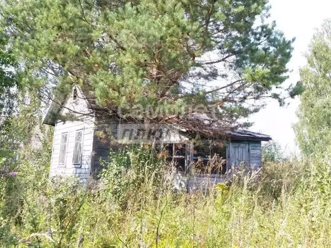 Участок в Ивановская область, Лежневский район, Шилыковское с/пос, д. ...