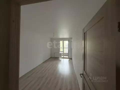 Студия Курская область, Курск ул. Энгельса, 115/5 (26.68 м)