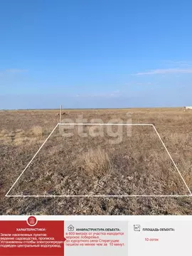 Участок в Крым, Раздольненский район, Славновское с/пос, Отдых СНТ  ...