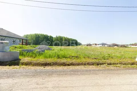 Участок в Тюменская область, Тюменский муниципальный округ, с. Кулига  ...