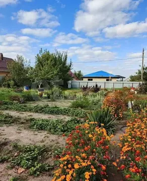 Дом в Воронежская область, Рамонский район, Новоживотинновское с/пос, ...
