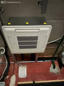 Помещение свободного назначения (31 м)