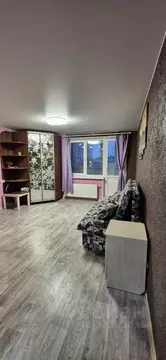 Студия Санкт-Петербург пос. Парголово, Заречная ул., 13к3 (25.0 м)