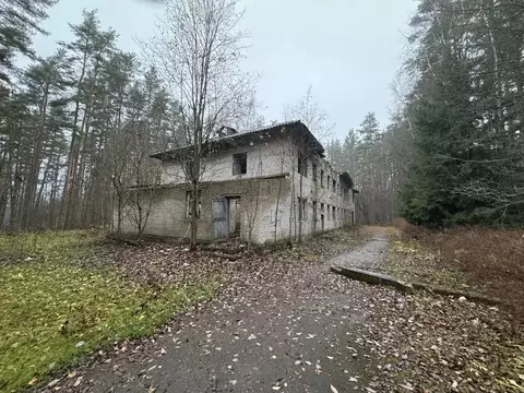 Помещение свободного назначения в Ленинградская область, Приозерский ...