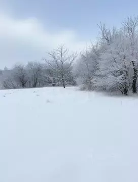 Участок в Ярославская область, Ярославский муниципальный округ, д. ...