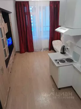 Студия Санкт-Петербург просп. Ветеранов, 169к1 (25.0 м)