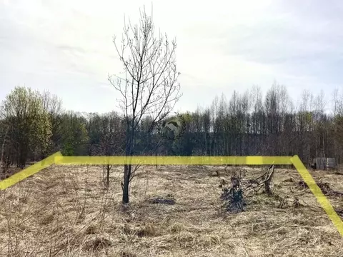 Участок в Калужская область, Дзержинский район, Совхоз Чкаловский ...