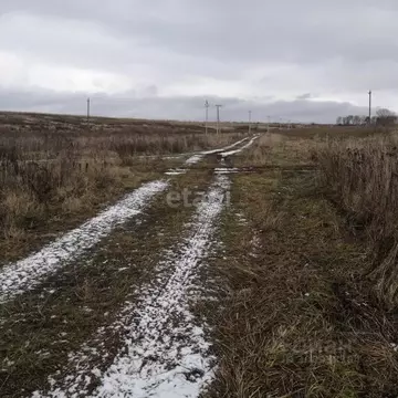 Участок в Брянская область, Брянский район, Отрадненское с/пос, с. ...