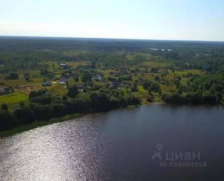 Участок в Псковская область, Куньинский район, Жижицкая волость, д. ...