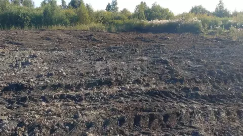 Участок в Тюменская область, Тюмень Светлое садовое товарищество,  ...