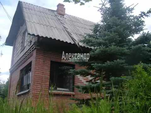 Дом в Ленинградская область, Лужский район, Мшинское с/пос, Мшинская ...