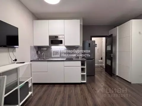 Студия Санкт-Петербург 26-я Васильевского острова линия, 7 (26.6 м)