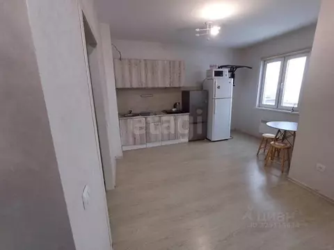 Студия Красноярский край, Красноярск городской округ, пос. Солонцы, ...