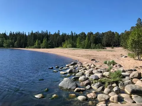 Участок в Ленинградская область, Всеволожский район, Куйвозовское ...