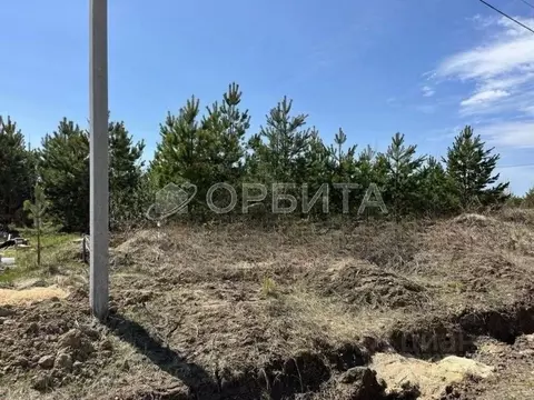 Участок в Тюменская область, Нижнетавдинский район, д. Московка  (25.0 ...