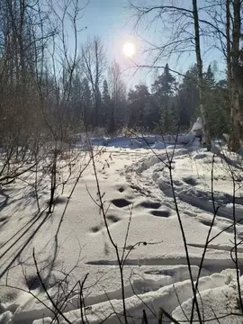 Участок в Пермский край, Пермь ул. Лянгасова, 67Б (5.0 сот.)