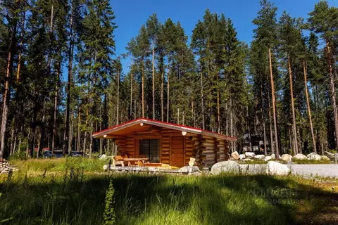 Дом в Карелия, Медвежьегорск ул. Михаила Рябова, 7 (51 м)