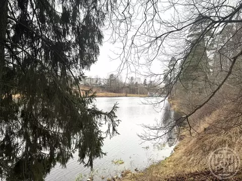 Участок в Ленинградская область, Гатчинский муниципальный округ, ...