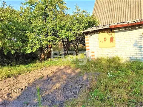 Дом в Брянская область, Брянский район, Добрунское с/пос, Феникс ...