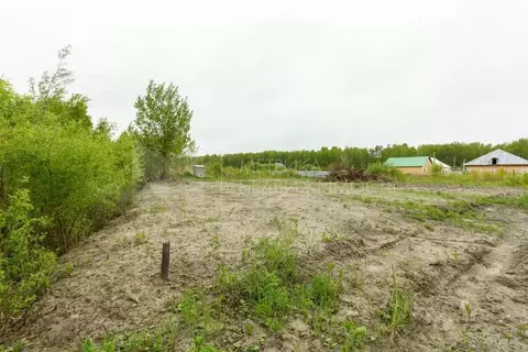 Участок в Тюменская область, Тюмень  (43000.0 сот.)