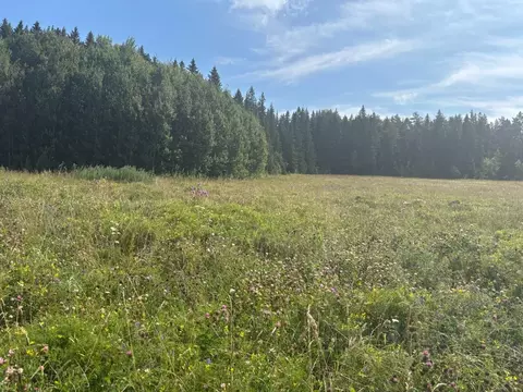 Участок в Пермский край, Пермский район, д. Горшки Школьная ул., 13 ...