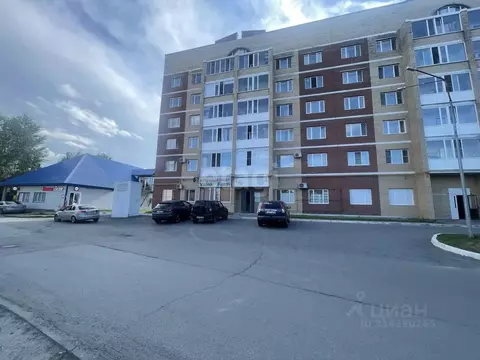 Торговая площадь в Ханты-Мансийский АО, Ханты-Мансийск ул. Мира, 93А ...