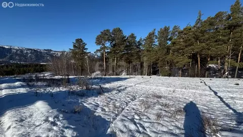 Участок в Чемальский район, Элекмонарское сельское поселение, село ...
