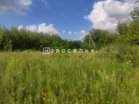 Участок в Рязанская область, Рыбновский район, Ходынинское с/пос, д. ...