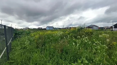 Участок в Ленинградская область, Ломоносовский район, Гостилицкое ...